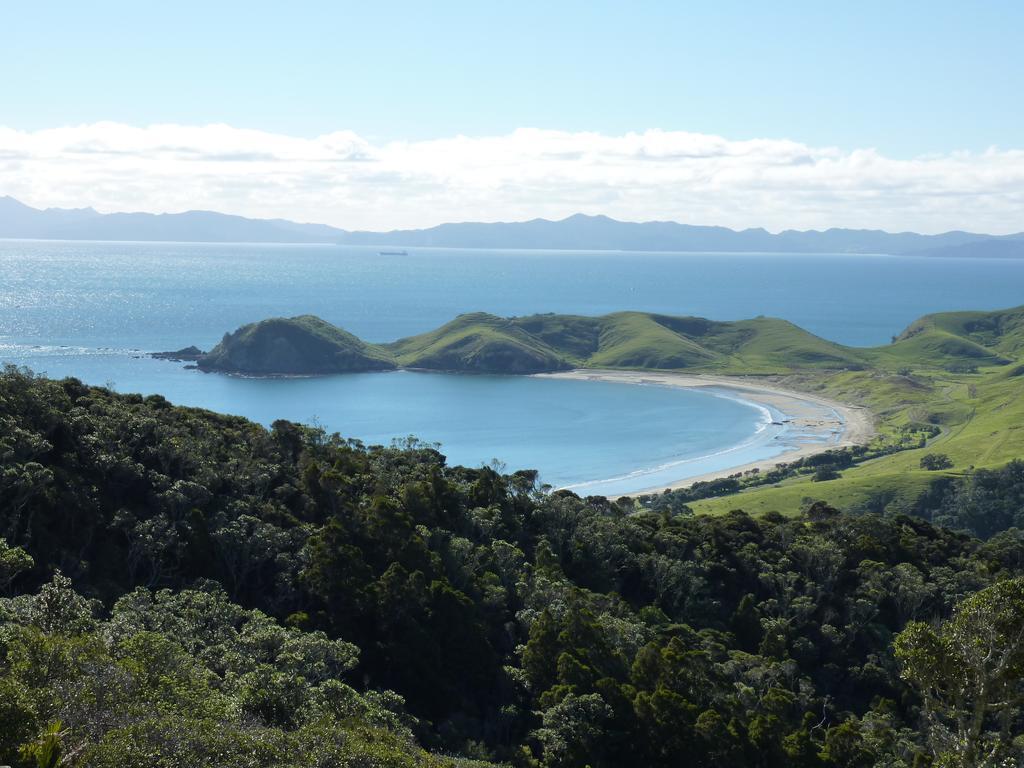 The Green House B&B Whitianga Exterior foto